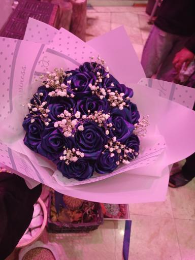 عکس تهران بونسای 