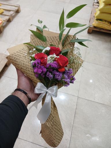 عکس تهران بونسای 