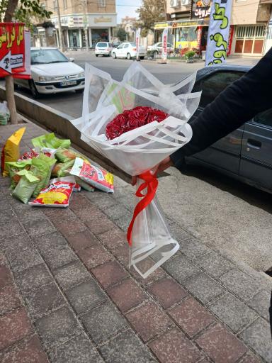 عکس تهران بونسای 