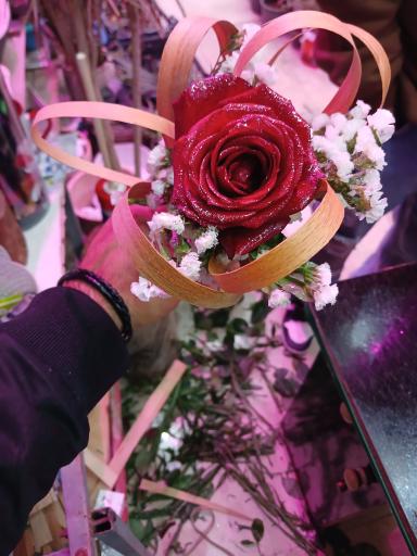 عکس تهران بونسای 