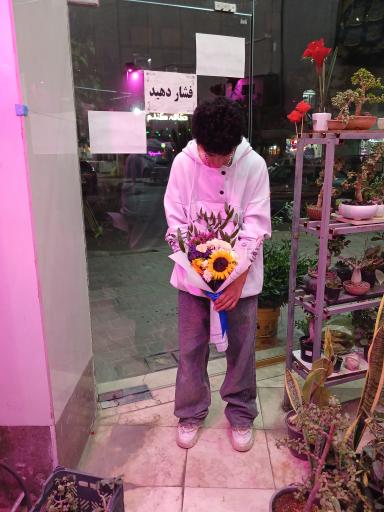 عکس تهران بونسای 