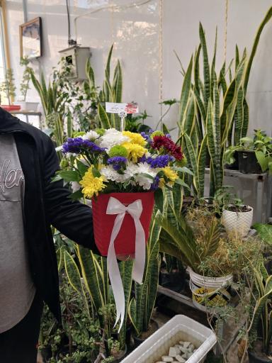 عکس تهران بونسای 