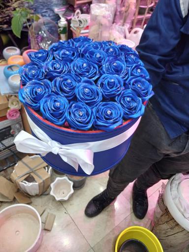 عکس تهران بونسای 