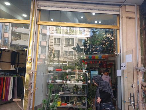 عکس تهران بونسای 