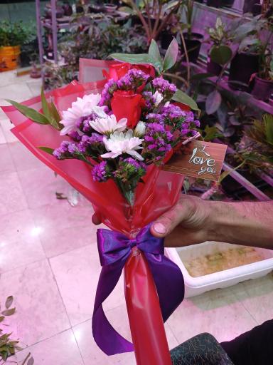 عکس تهران بونسای 