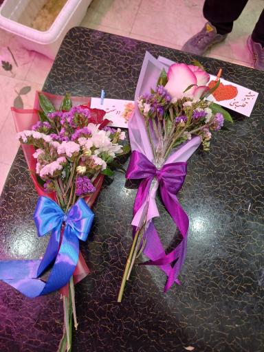 عکس تهران بونسای 