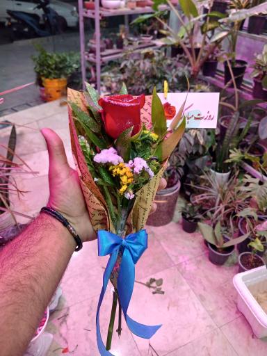 عکس تهران بونسای 