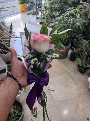 عکس تهران بونسای 