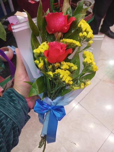 عکس تهران بونسای 