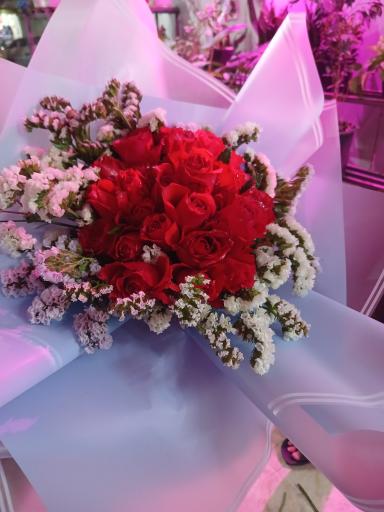 عکس تهران بونسای 