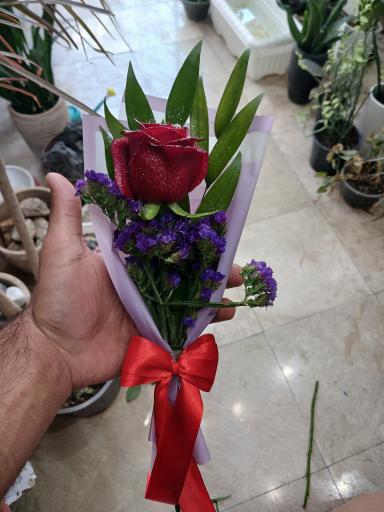 عکس تهران بونسای 