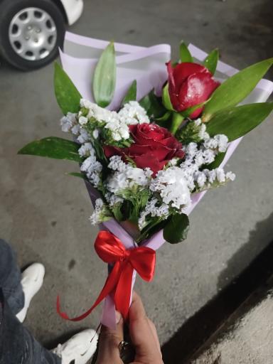 عکس تهران بونسای 