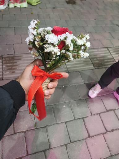 عکس تهران بونسای 