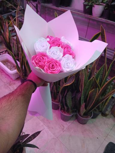 عکس تهران بونسای 