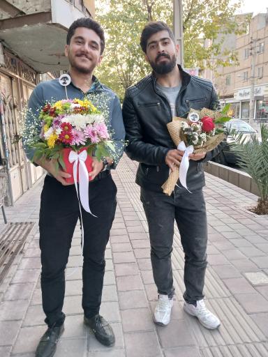 عکس تهران بونسای 