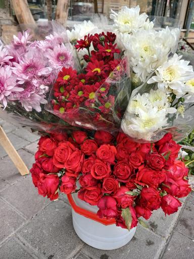 عکس تهران بونسای 