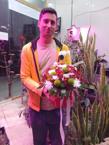 عکس تهران بونسای 