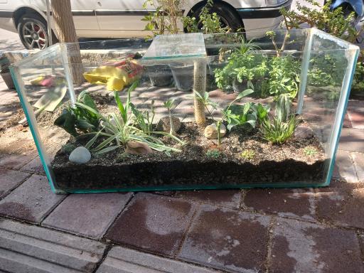 عکس تهران بونسای 