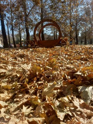 عکس بوستان سیفیه