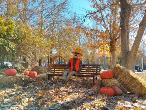 عکس بوستان سیفیه