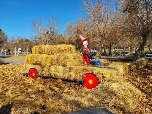 عکس بوستان سیفیه