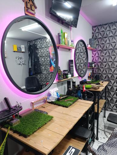 عکس پیرایش کیان