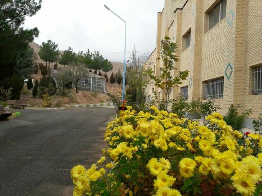 عکس دانشکده روانشناسی و علوم تربیتی سمنان