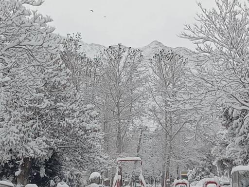 عکس بوستان سیفیه