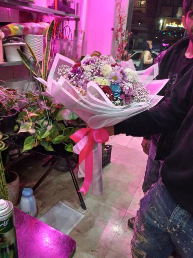 عکس تهران بونسای 