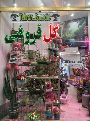 تهران بونسای 