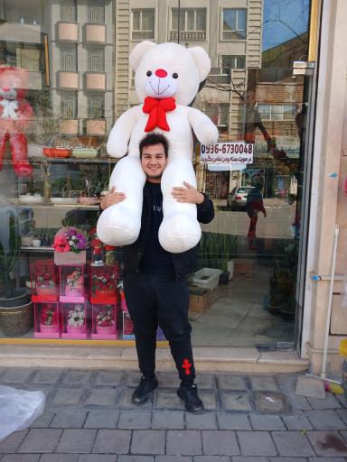 عکس تهران بونسای 