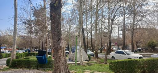 بوستان سیفیه