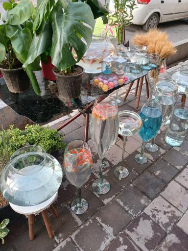 عکس تهران بونسای 