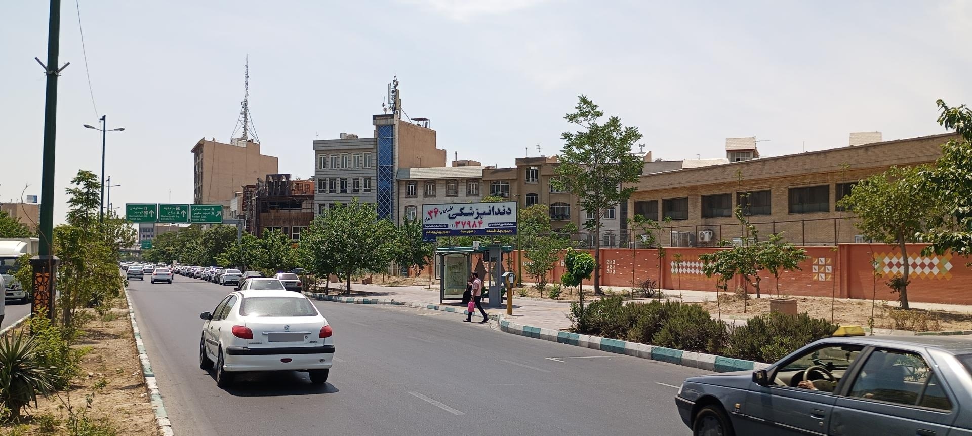 عکس شاهین جنوبی