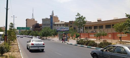 عکس شاهین جنوبی