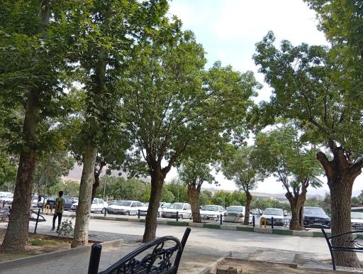 بوستان سیفیه