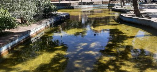 عکس بوستان سیفیه