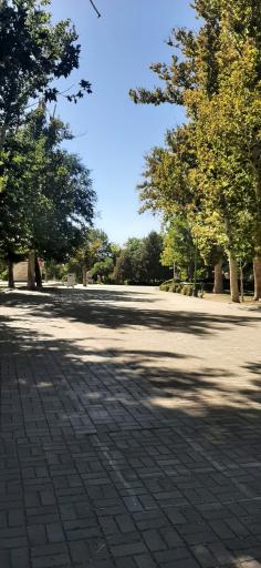 عکس بوستان سیفیه