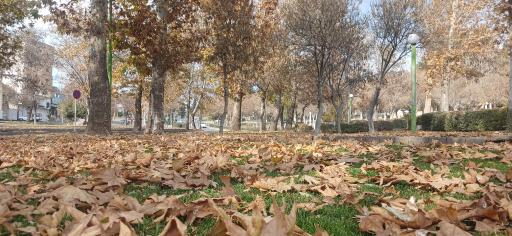 عکس بوستان سیفیه