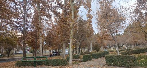 عکس بوستان سیفیه
