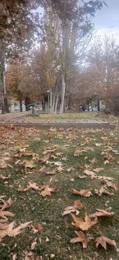 عکس بوستان سیفیه