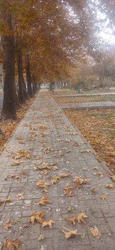 عکس بوستان سیفیه