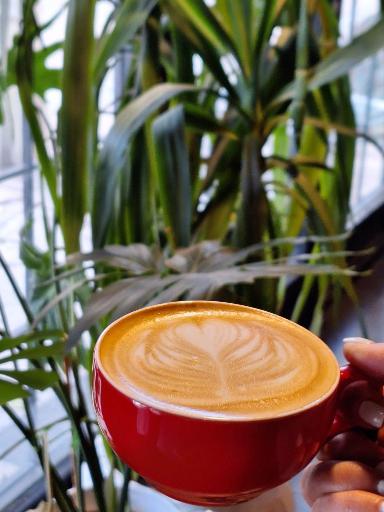 عکس کافه درختی