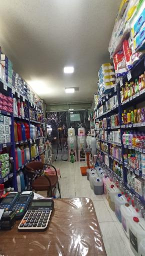 شوینده بهداشتی دلسا