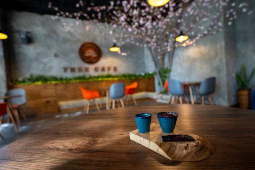 عکس کافه درختی