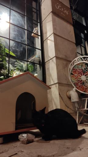 عکس کافه درختی