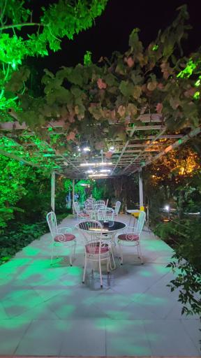 عکس پیتزا کندو