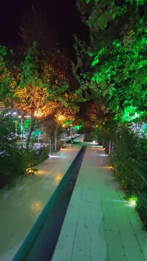 عکس پیتزا کندو