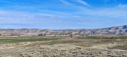 عکس منار میلو (ستون شهر گور)