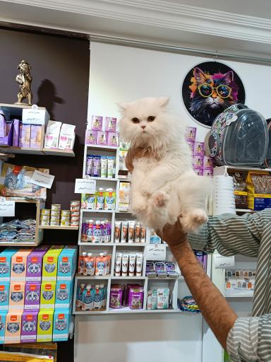 عکس درمانگاه حیوانات خانگی لئو